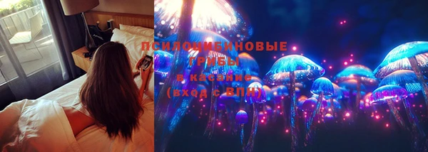 МДПВ Няндома