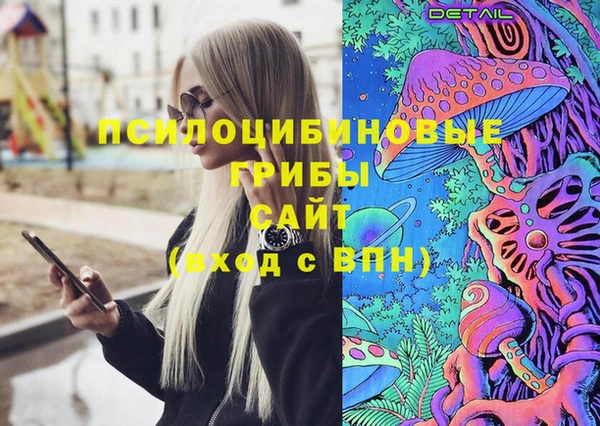 дурь Нягань