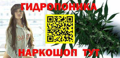 спиды Балашиха