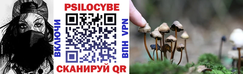 где найти наркотики  Скопин  Псилоцибиновые грибы мухоморы 