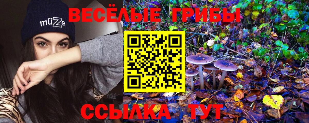 Галлюциногенные грибы Psilocybine cubensis  Псилоцибиновые грибы Psilocybine cubensis  Скопин  Вход с VPN 