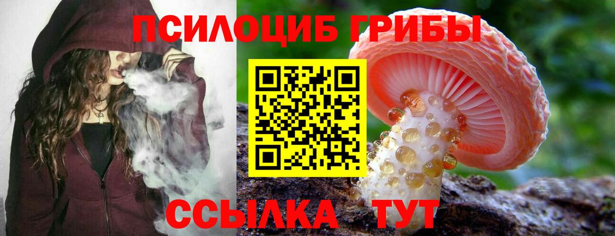 Галлюциногенные грибы Magic Shrooms  Скопин 